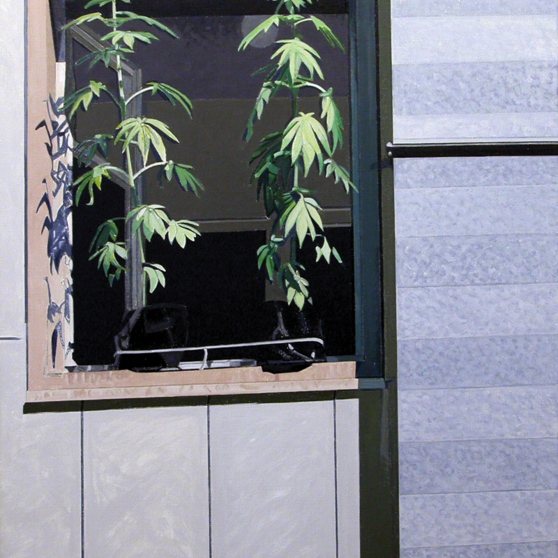 Farny Emilienne, Fenêtre sur cour, 2001, acrylique sur toile, 100 x 73