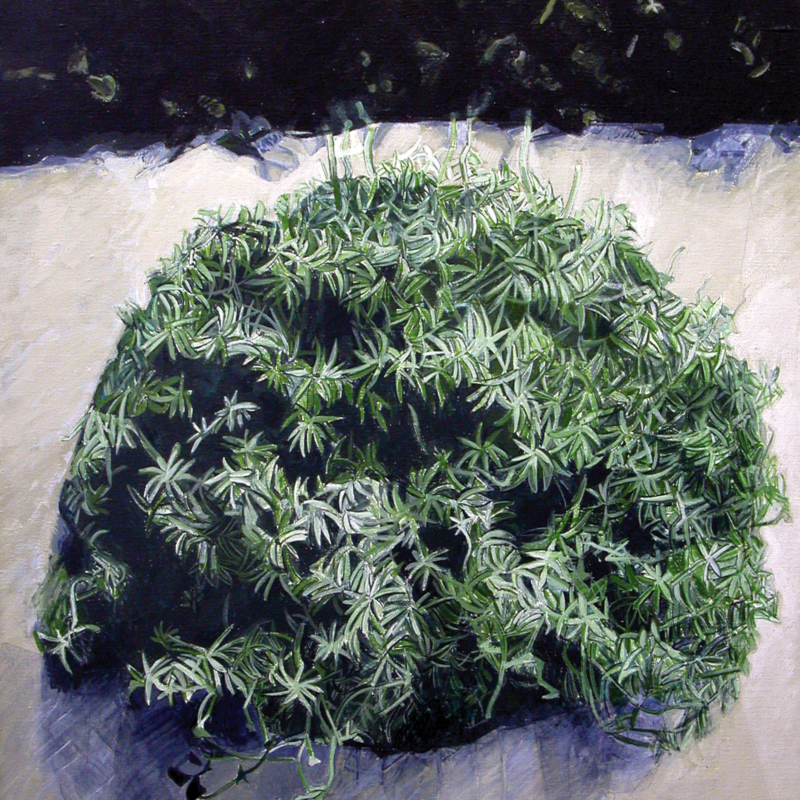 Farny Emilienne, Mur, 1999, 100 x 73
