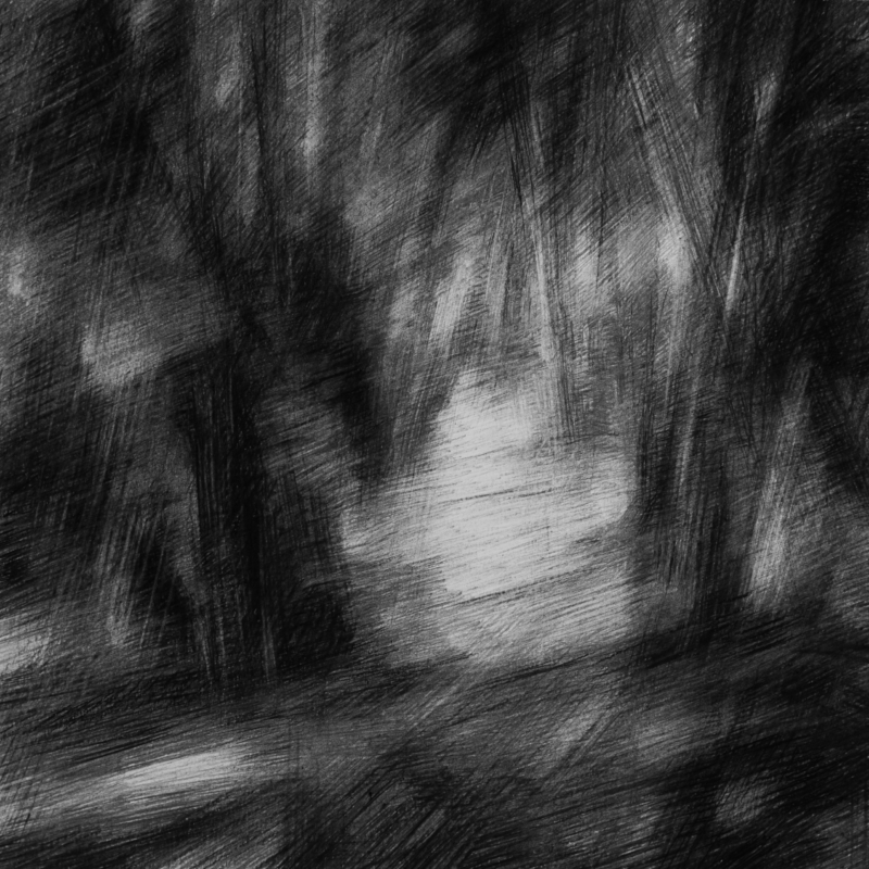fusain-pierrenoire_50x50_2024-1 Corinne Kramer, "Sans titre", 2024, fusain et pierre noire, 50 x 50 cm