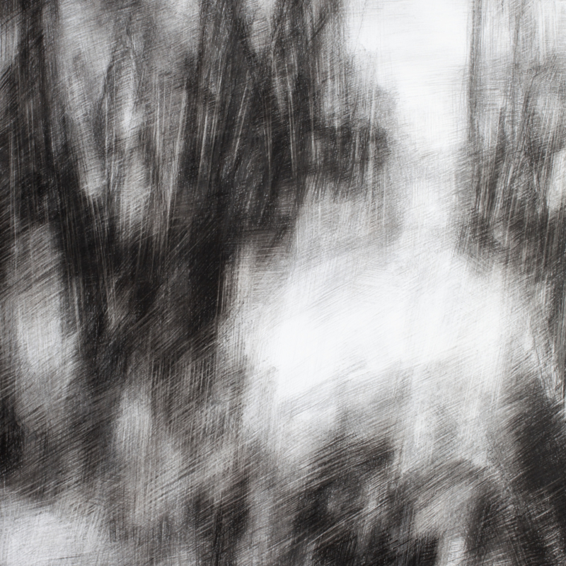 fusain-pierrenoire_80x110_2023-2 Corinne Kramer, "Sans titre", 2023, fusain et pierre noire, 110 x 80 cm