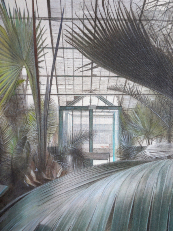 Atsuko Sasaki, "L'Abri", 2025, huile sur toile, 73 x 50 cm