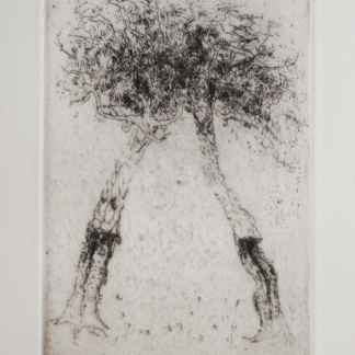 Zora MUSIC, «Deux Chênes», 1986