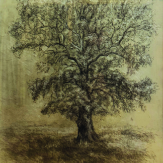 Diane OLIVIERI, "Sans titre", 2006, pierre noire