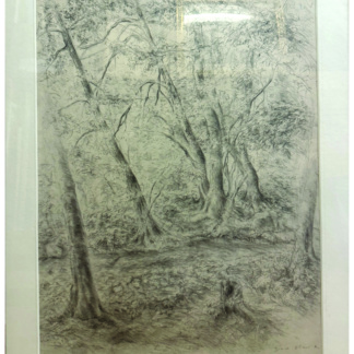 Diane OLIVIERI, «Arbres au bord de la Morges»