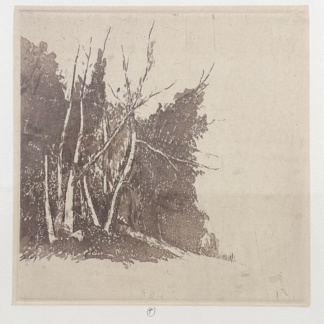 Gérard de PALÉZIEUX, "Lisière de forêt", 2005