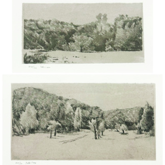Gérard de PALÉZIEUX, "L’étang près du bois", 2002 + "La Plaine des Millières à Finges", 2001
