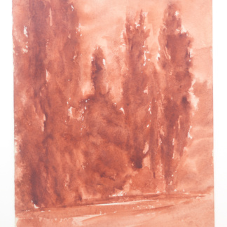 Edmond QUINCHE, "Bon anniversaire Luce"