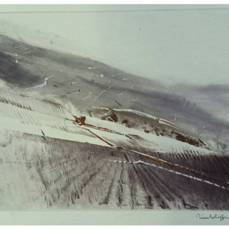 Pierre SCHOPFER, "Sans titre"