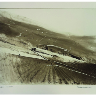 Pierre SCHOPFER, "Sans titre"