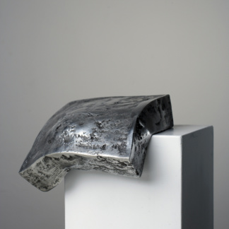 Alem KORKUT, «Polar cap 2», 2010